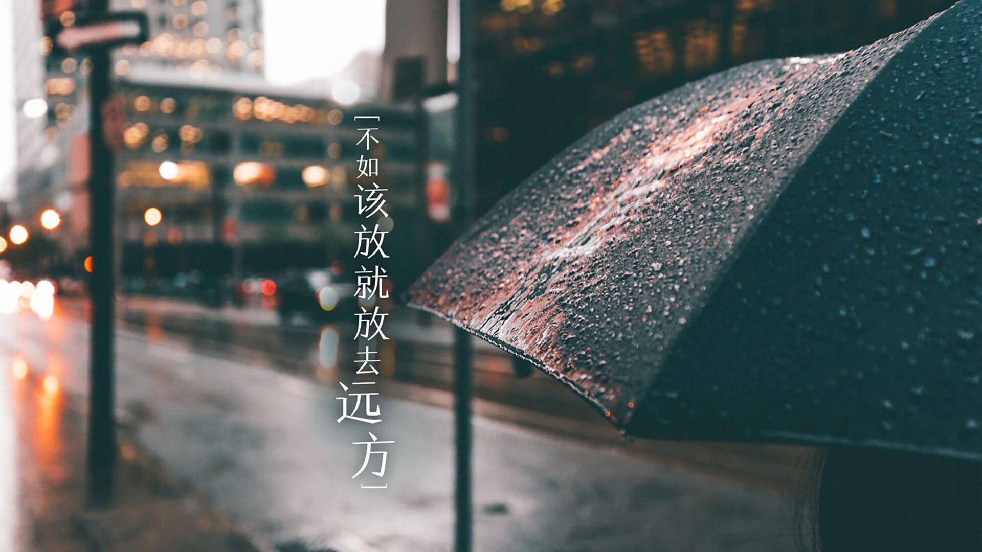 天才少年的崛起，未来之星闪耀赛场，未来之星即将诞生