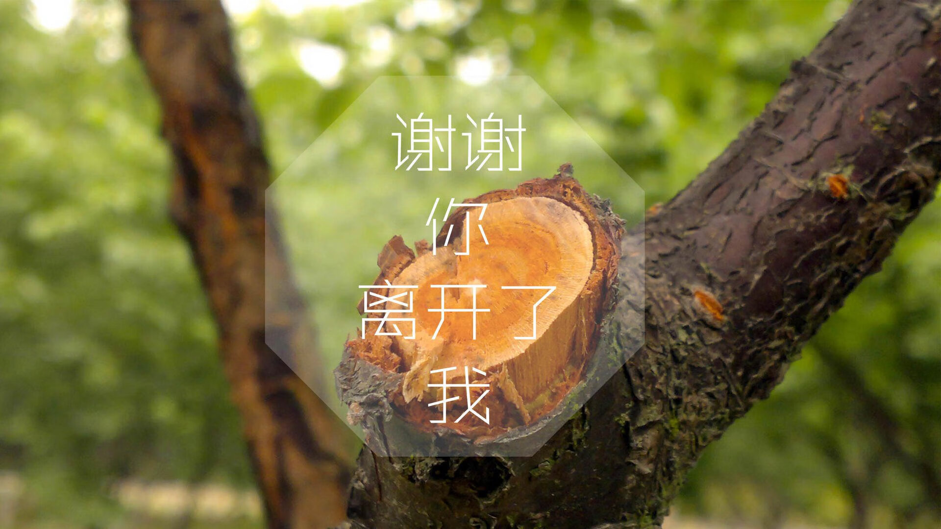 世俱杯网站-曼联在2024年欧联杯决赛中0-1不敌热刺，未能夺冠，曼联欧联杯冠军首发