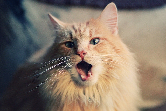 中国三人篮球男队灵活转换攻守节奏,中国三人篮球换人