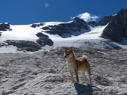 世俱杯2025-中国女篮加强落位速度提升阵地效率，求中国女篮