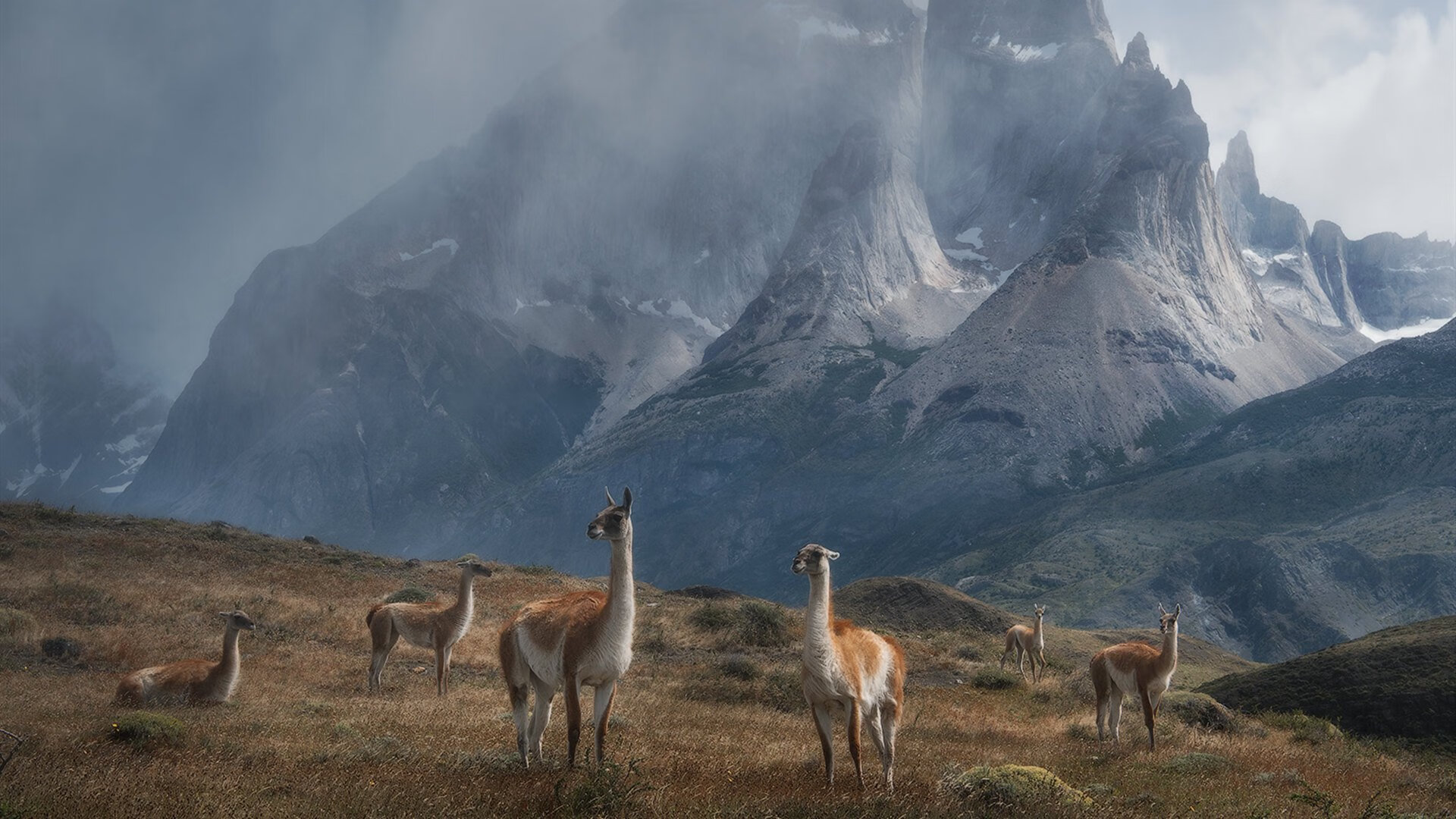 五大联赛是否通过边路低位传中增加远点进攻比重,五大联赛强弱